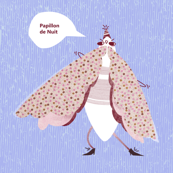 papillon_de_nuit